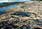 APARECIERON MANCHAS DE PETRÓLEO EN MÁS DE 100 PLAYAS DE BRASIL Y DESCONOCEN LA PROCEDENCIA