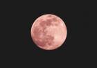 A FINES DE ABRIL SE VIENE LA SUPERLUNA ROSA Y DURARÁ TRES DÍAS