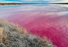EN CHUBUT UNA LAGUNA SE “TIÑÓ” DE ROSA, DENUNCIAN CONTAMINACIÓN Y HAY MUNICIPIOS ENFRENTADOS