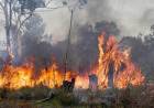 EN CORRIENTES SE REACTIVARON FOCOS DE INCENDIOS FORESTALES