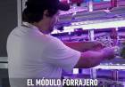 AGTECH: HIDROPONÍA MÁS ALLÁ DE LAS VERDURAS
