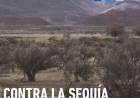 PATAGONIA: CONTRA LA DESERTIFICACIÓN Y LA SEQUÍA