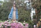 TUCUMÁN: VIRGEN INMACULADA, FIEL ESTRELLA DE CONCEPCIÓN
