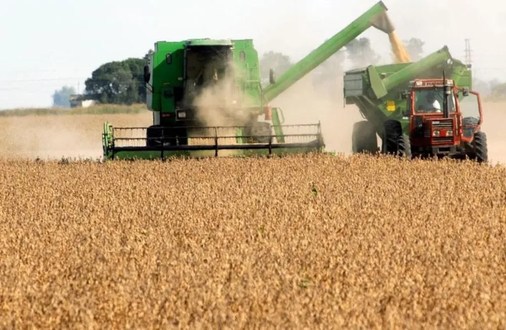 CONINAGRO ADVIERTE QUE LA QUITA DE RETENCIONES NO BENEFICIÓ AL PRODUCTOR