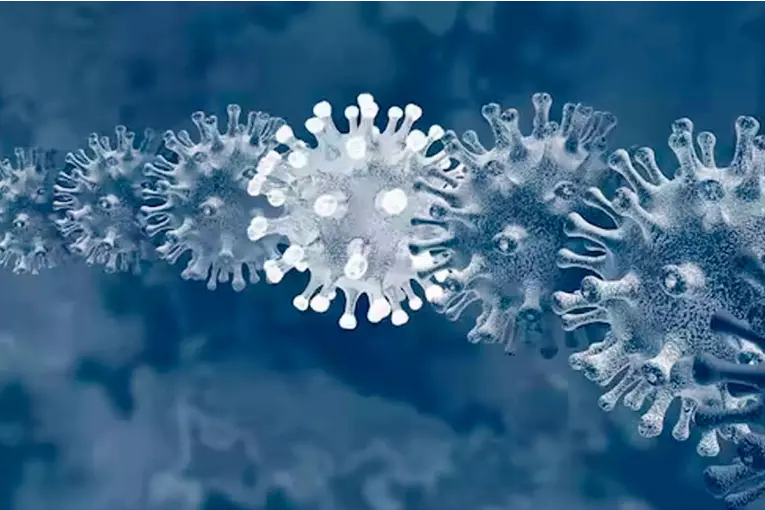 Cicada: la nueva variante de COVID que la OMS mantiene en vigilancia