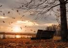“Viento de otoño”: una poesía sobre el amor, la distancia y la esperanza
