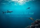 Misterios del Mar: entre la leyenda y la realidad del Triángulo de las Bermudas