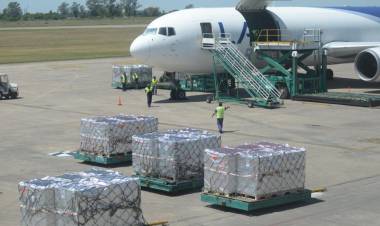 TUCUMÁN: LA BAJA DE RETENCIONES A LOS PRODUCTOS REGIONALES BENEFICIARÁ AL LIMÓN Y EL ARÁNDANO