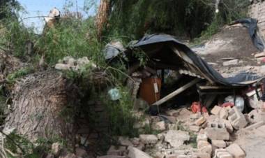 ZONDA EN MENDOZA: UNA MUJER MURIÓ TRAS CAER UN ÁRBOL EN SU CASA