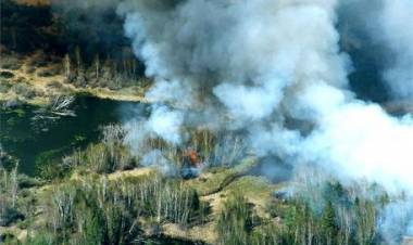 TRUMP LE OFRECIÓ AYUDA A PUTIN PARA APAGAR LOS INCENDIOS EN SIBERIA