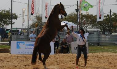EXPOAGRO EN CORRIENTES: LOS CABALLOS, UNA DE LAS GRANDES ATRACCIONES