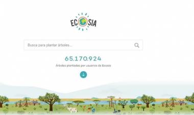 INCENDIO EN AMAZONAS: ECOSIA, EL BUSCADOR WEB QUE PROMETE SEMBRAR UN ÁRBOL CADA VEZ QUE SE USA