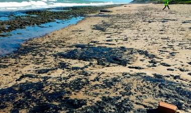 APARECIERON MANCHAS DE PETRÓLEO EN MÁS DE 100 PLAYAS DE BRASIL Y DESCONOCEN LA PROCEDENCIA