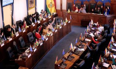 CEDEN LAS PROTESTAS EN BOLIVIA: EL SENADO APROBÓ POR UNANIMIDAD UNA LEY PARA LLAMAR A ELECCIONES Y EVO MORALES NO PUEDE SER CANDIDATO
