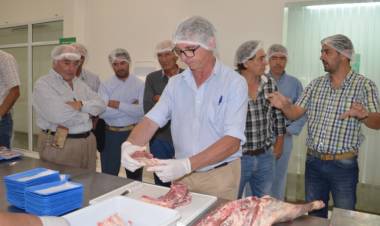 CARNES SAN LUIS: ESTE LUNES ESTARÁN EN LOS COMERCIOS LOS CORTES DE CORDERO ENVASADO