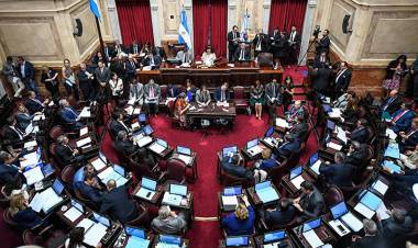 PRESENTAN PROYECTO PARA CONGELAR DURANTE 180 DÍAS LA SUBA DE DIETAS DE LOS SENADORES NACIONALES