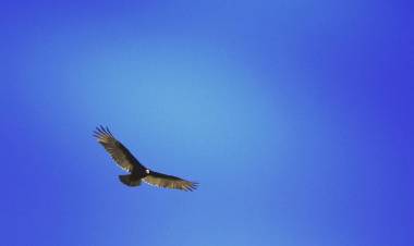 RESERVAS NATURALES EN SAN LUIS