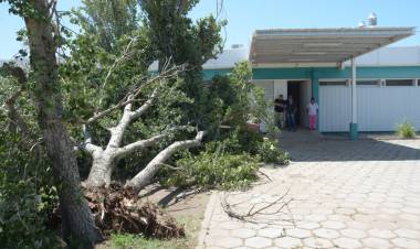 SAN LUIS: UN TEMPORAL AFECTÓ A LA LOCALIDAD DE BUENA ESPERANZA Y SE TRABAJA PARA SOLUCIONAR LOS INCONVENIENTES OCASIONADOS