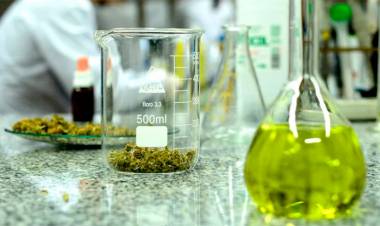 LA JUSTICIA ORDENA EN CORRIENTES A UNA "PREPAGA" CUBRIR UN TRATAMIENTO CON CANNABIS MEDICINAL