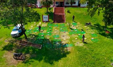 EN MISIONES SECUESTRAN CASI UNA TONELADA DE MARIHUANA ESCONDIDA Y  ABANDONADA EN LA VEGETACIÓN 