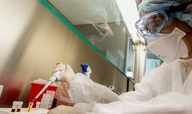 CIENTÍFICOS ARGENTINOS DESCIFRARON EN EL MALBRÁN EL GENOMA DEL COVID-19 LOCAL, CLAVE PARA UNA VACUNA