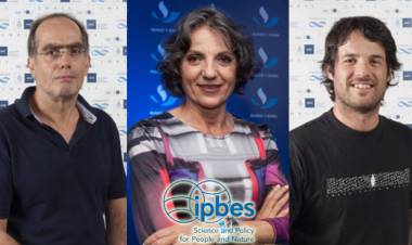 LA PLATAFORMA INTERGUBERNAMENTAL SOBRE BIODIVERSIDAD Y SERVICIOS DE ECOSISTEMAS (IPBES) GANÓ EL PREMIO A LA SOSTENIBILIDAD
