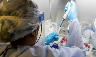 24 NUEVOS CASOS Y UN FALLECIMIENTO, SON LOS REGISTROS DE ESTE SÁBADO EN RELACIÓN AL CORONAVIRUS EN SAN LUIS