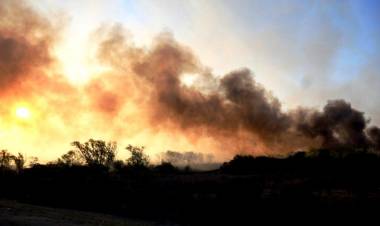 CONTINÚAN CON FOCOS ACTIVOS LOS INCENDIOS FORESTALES EN SANTA FE, ENTRE RÍOS, SAN LUIS Y TUCUMÁN