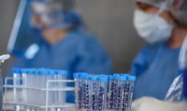 CORONAVIRUS EN SAN LUIS: ESTE DOMINGO SE REGISTRARON 308 CASOS POSITIVOS