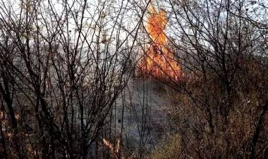 LOS INCENDIOS FORESTALES CONTINÚAN AFECTANDO A LAS PROVINCIAS DE JUJUY, MENDOZA, SALTA Y CÓRDOBA