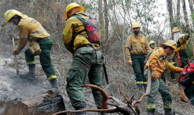INCENDIOS FORESTALES: JUJUY, ENTRE RÍOS Y CORRIENTES MANTIENEN FOCOS ACTIVOS