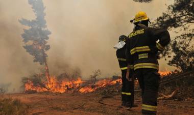 INCENDIOS FORESTALES: SE REGISTRAN FOCOS ACTIVOS EN NEUQUÉN, MENDOZA, BUENOS AIRES Y JUJUY