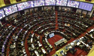 DIPUTADOS: INGRESÓ UN PROYECTO PARA SUSPENDER LAS PASO CON AVAL DE GOBERNADORES