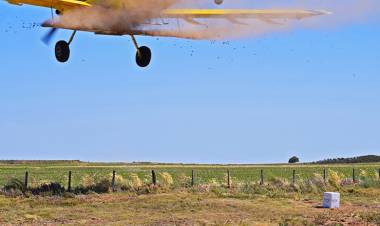 SAN LUIS: LA CUENCA EL MORRO RECIBIÓ LA PRIMERA LLUVIA DE BOMBAS DE SEMILLAS