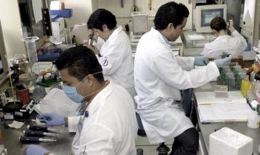 PARA REPATRIAR CIENTÍFICOS ARGENTINOS QUE TRABAJAN EN EL EXTERIOR, RELANZARON EL PROGRAMA RAÍCES 