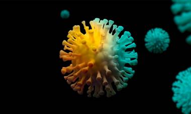 DETECTARON EN UN PASAJERO QUE LLEGÓ DEL EXTERIOR, LA VARIANTE BRITÁNICA DEL CORONAVIRUS EN LA ARGENTINA