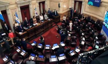 EL SENADO CONVOCÓ UNA SESIÓN ESPECIAL PARA EL JUEVES, ARRANCAN LAS EXTRAORDINARIAS