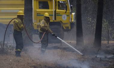SE MANTIENEN FOCOS ACTIVOS DE INCENDIO FORESTALES EN CHUBUT Y RÍO NEGRO