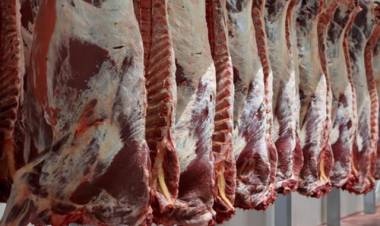 SE OFICIALIZÓ LA CREACIÓN DE UN REGISTRO PARA EXPORTADORES DE CARNES Y NO SOLAMENTE LA VACUNA