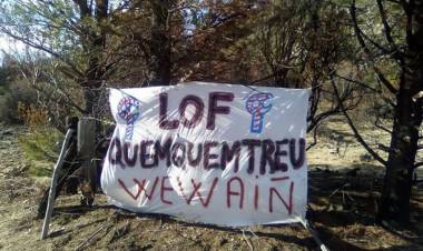 RÍO NEGRO: INVESTIGAN EL CASO DE UN MUERTO Y UN HERIDO A BALAZOS EN TERRITORIO OCUPADO POR MAPUCHES