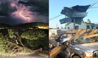 JUJUY: UN TEMPORAL PROVOCÓ ANEGAMIENTO DE CALLES Y AUTOEVACUACIONES, CALLERON ÁRBOLES Y VOLARON TECHOS