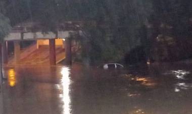 JUJUY: ANEGAMIENTOS, CAÍDA DE ÁRBOLES Y EVACUADOS POR LAS FUERTES LLUVIAS