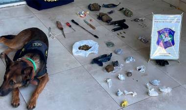 DETIENEN A BARRAS DE RIVER CON ARMAS Y DROGAS EN PROCEDIMIENTO EN UN ÓMNIBUS CUANDO SE DIRIGÍAN A SALTA