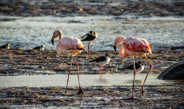 PARTIDO DE MAR CHIQUITA: ESTA SEMANA SANTA DISFRUTÁ DE LAS DISTINTAS PROPUESTAS TURÍSTICAS Y CULTURALES 