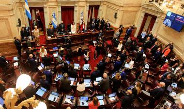 CONSEJO DE LA MAGISTRATURA: EL BLOQUE DE SENADORES DEL FRENTE DE TODOS SE DIVIDIÓ EN DOS