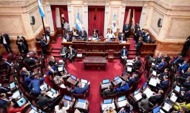 EL SENADO DEBATE ESTE JUEVES EL PROYECTO PARA PAGARLE AL FMI CON DINERO FUGADO