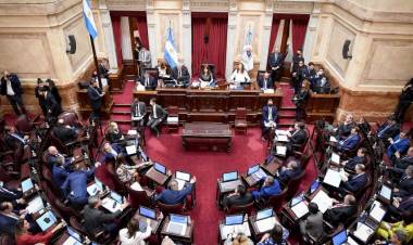 EL SENADO DE LA NACIÓN BUSCARÁ CONVERTIR EN LEY EL PROYECTO DE ALIVIO FISCAL, PREVÉN APROBARLA EL JUEVES