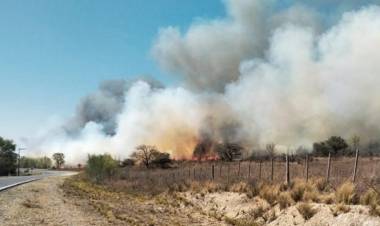 INCENDIOS EN CÓRDOBA: VIENTOS DE 90KM POR HORA AVIVARON LOS FOCOS EN LA ZONA DE CURA BROCHERO