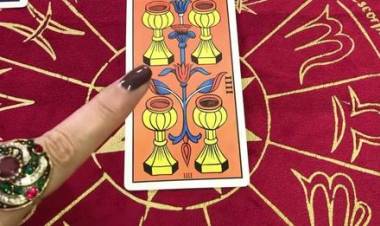 SEMANA DEL 23 AL 29 DE ENERO SIGNO POR SIGNO