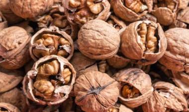 ESTE MES LA TIERRA SABE A NUECES